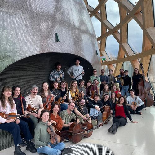 Insula Camerata