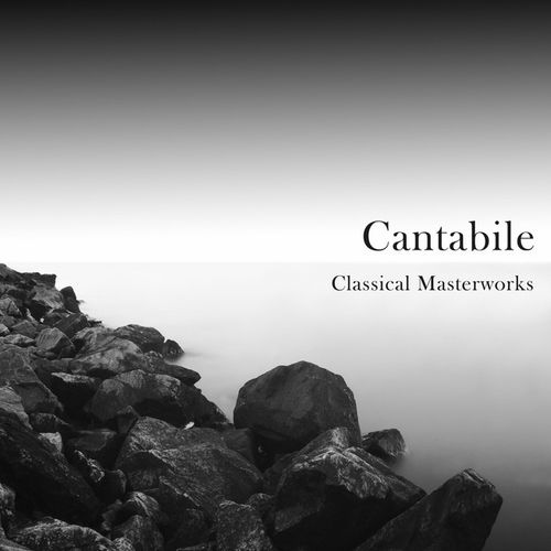 The Four Seasons, Summer, Violin Concerto in G Minor, Op. 8/2, RV 315: II. Adagio e piano - Presto e forte
