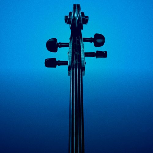 Disney String Quartet